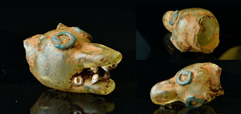 wolf's head, glass. Hellenistic period